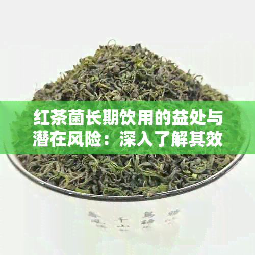 红茶菌长期饮用的益处与潜在风险：深入了解其效果及副作用