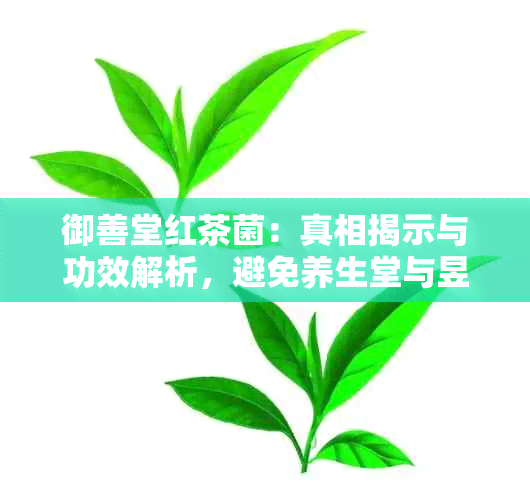 御善堂红茶菌：真相揭示与功效解析，避免养生堂与昱饮堂的误导