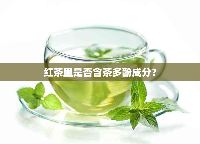 红茶里是否含茶多酚成分？