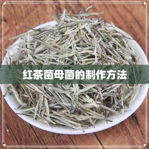 红茶菌母菌的制作方法