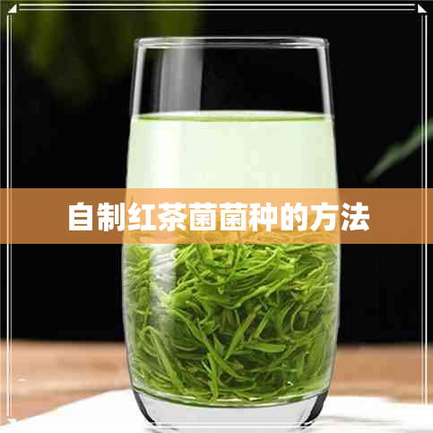 自制红茶菌菌种的方法