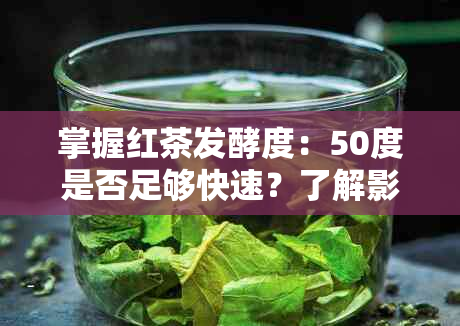 掌握红茶发酵度：50度是否足够快速？了解影响发酵速度的关键因素