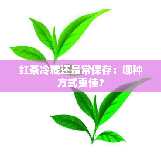 红茶冷藏还是常保存：哪种方式更佳？