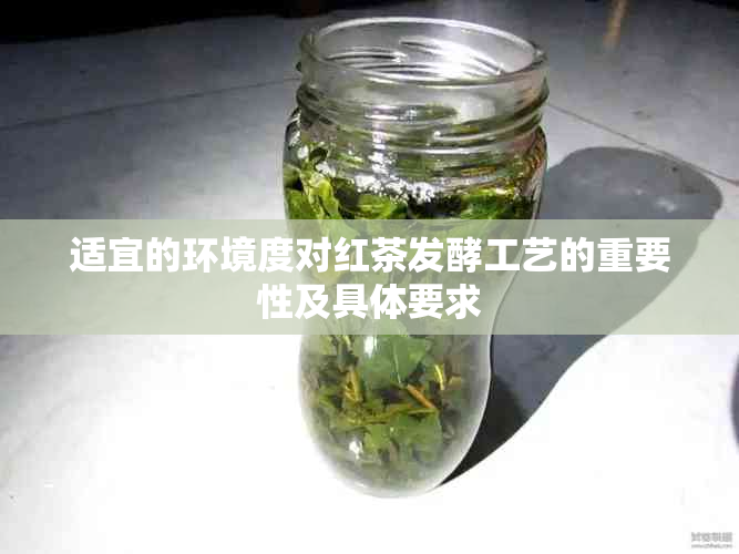 适宜的环境度对红茶发酵工艺的重要性及具体要求