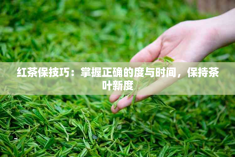 红茶保技巧：掌握正确的度与时间，保持茶叶新度