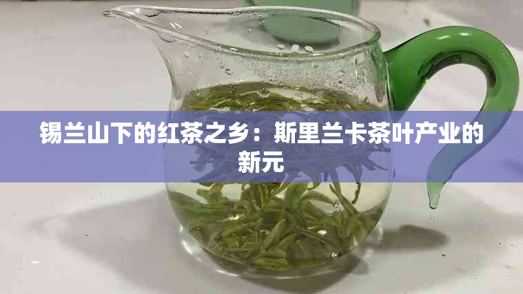 锡兰山下的红茶之乡：斯里兰卡茶叶产业的新元