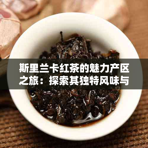 斯里兰卡红茶的魅力产区之旅：探索其独特风味与制茶工艺