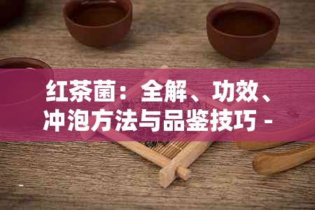 红茶菌：全解、功效、冲泡方法与品鉴技巧 - 让一杯红茶带给您多重享受