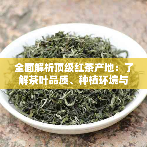 全面解析顶级红茶产地：了解茶叶品质、种植环境与文化传承