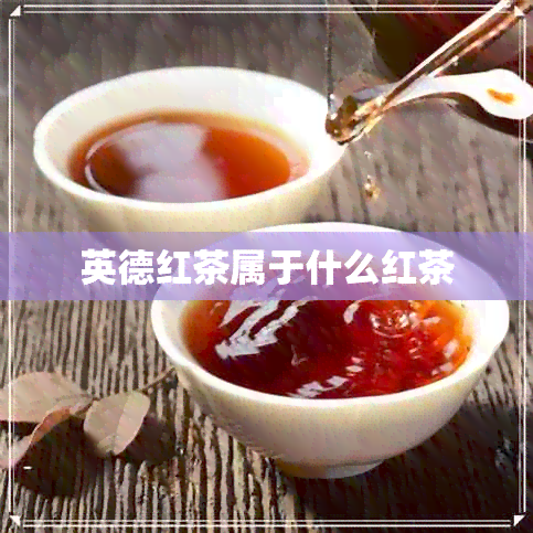 英德红茶属于什么红茶