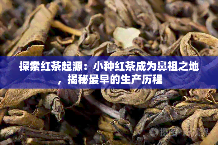 探索红茶起源：小种红茶成为鼻祖之地，揭秘最早的生产历程