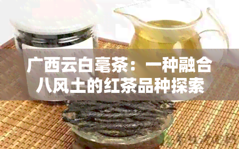 广西云白毫茶：一种融合八风土的红茶品种探索