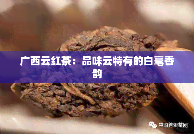 广西云红茶：品味云特有的白毫香韵