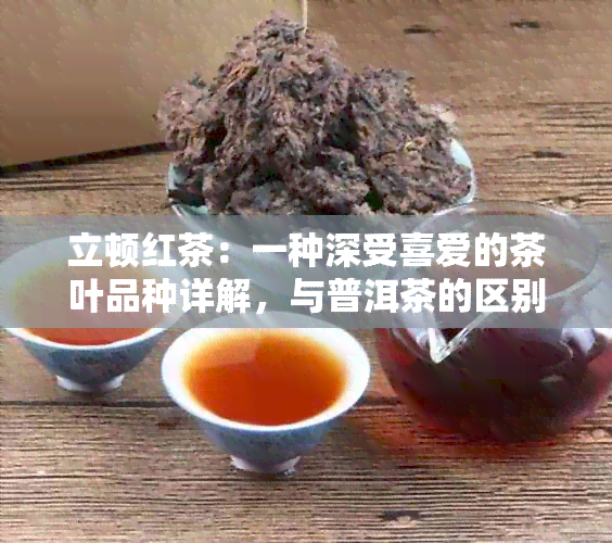 立顿红茶：一种深受喜爱的茶叶品种详解，与普洱茶的区别与联系