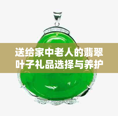 送给家中老人的翡翠叶子礼品选择与养护指南，让长辈更健康、更快乐