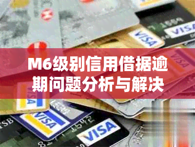 M6级别信用借据逾期问题分析与解决指南