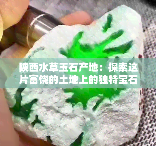 陕西水草玉石产地：探索这片富饶的土地上的独特宝石和翡翠来源