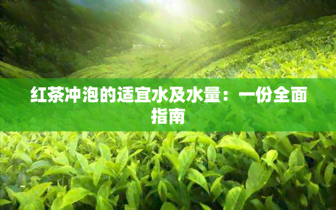 红茶冲泡的适宜水及水量：一份全面指南