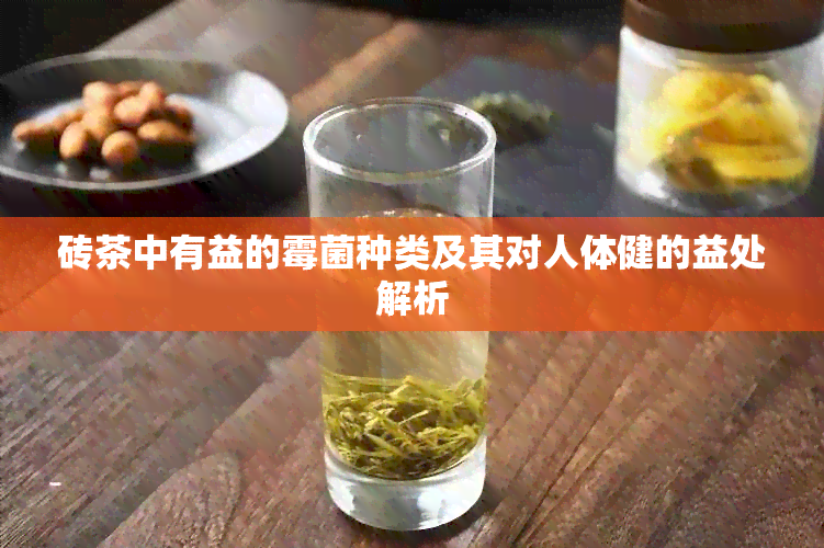 砖茶中有益的霉菌种类及其对人体健的益处解析