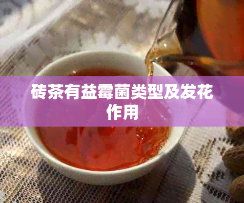 砖茶有益霉菌类型及发花作用