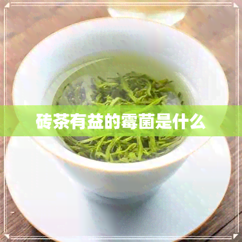 砖茶有益的霉菌是什么