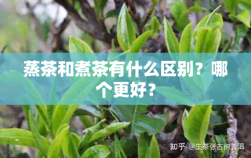 蒸茶和煮茶有什么区别？哪个更好？