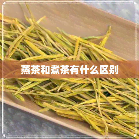 蒸茶和煮茶有什么区别