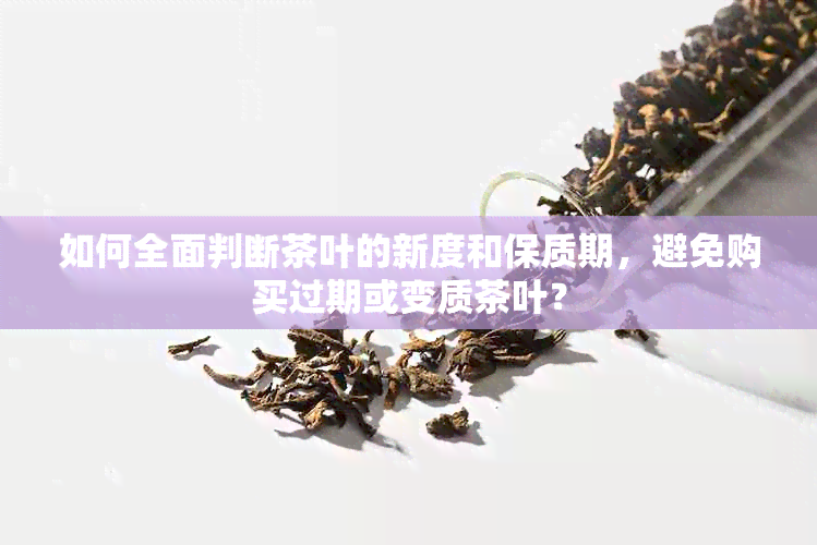 如何全面判断茶叶的新度和保质期，避免购买过期或变质茶叶？