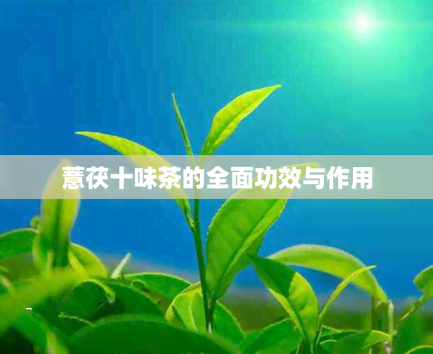 薏茯十味茶的全面功效与作用