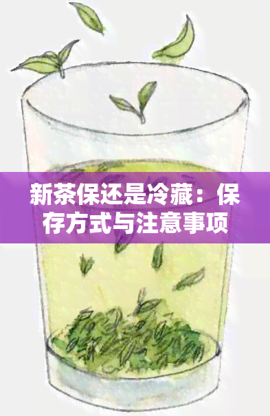 新茶保还是冷藏：保存方式与注意事项