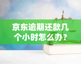 京东逾期还款几个小时怎么办？了解相关政策和解决办法，避免影响信用记录