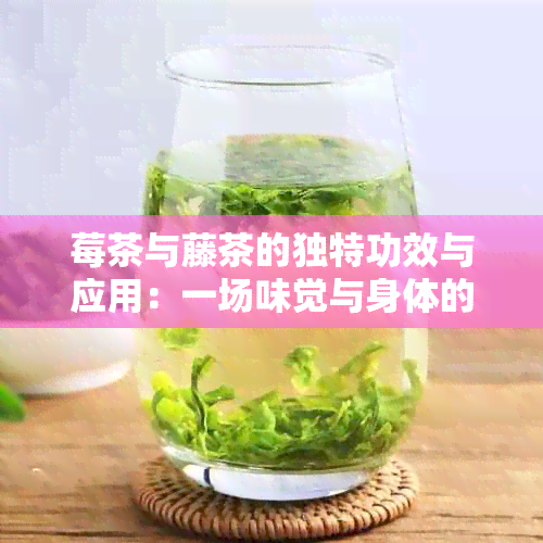 莓茶与藤茶的独特功效与应用：一场味觉与身体的宴