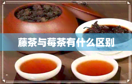 藤茶与莓茶有什么区别