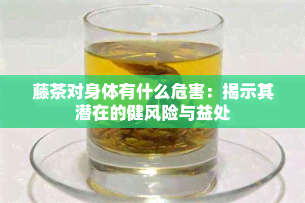 藤茶对身体有什么危害：揭示其潜在的健风险与益处