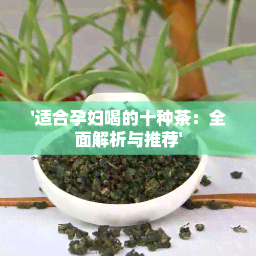 '适合孕妇喝的十种茶：全面解析与推荐'