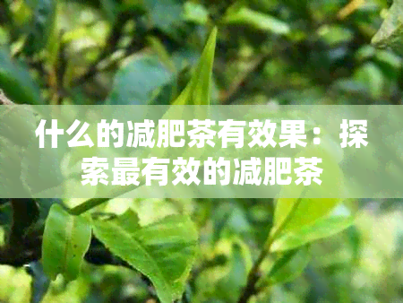 什么的减肥茶有效果：探索最有效的减肥茶