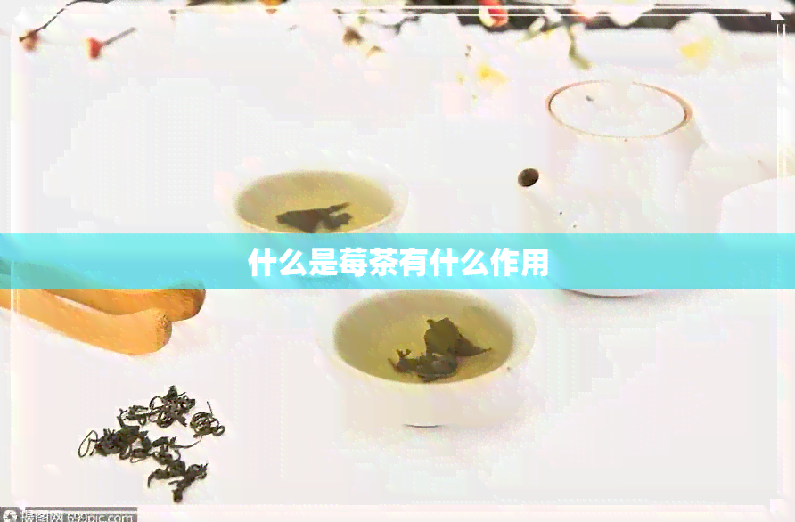 什么是莓茶有什么作用