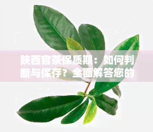 陕西官茶保质期：如何判断与保存？全面解答您的疑问