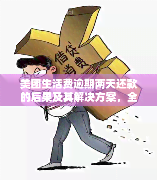 美团生活费逾期两天还款的后果及其解决方案，全面解答您的疑问和担忧