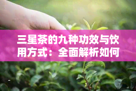 三星茶的九种功效与饮用方式：全面解析如何更大化享受这种美味饮品