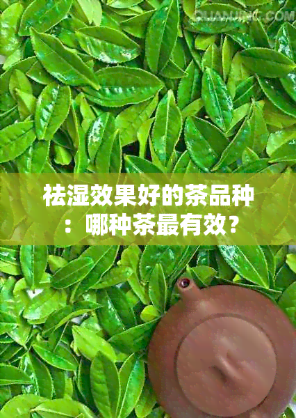 祛湿效果好的茶品种：哪种茶最有效？