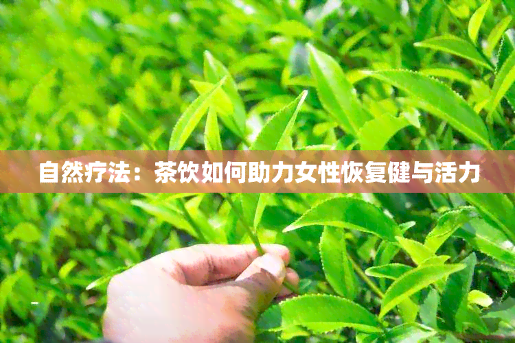 自然疗法：茶饮如何助力女性恢复健与活力