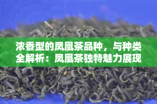 浓香型的凤凰茶品种，与种类全解析：凤凰茶独特魅力展现