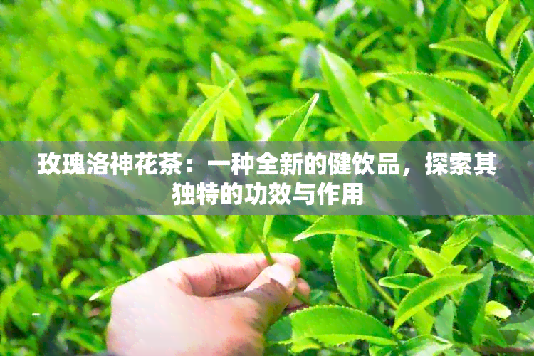 玫瑰洛神花茶：一种全新的健饮品，探索其独特的功效与作用