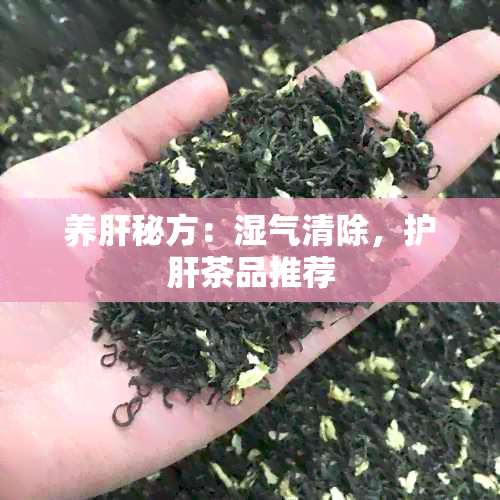 养肝秘方：湿气清除，护肝茶品推荐