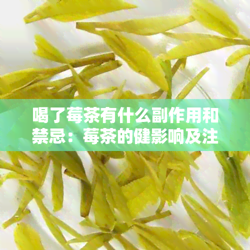 喝了莓茶有什么副作用和禁忌：莓茶的健影响及注意事项