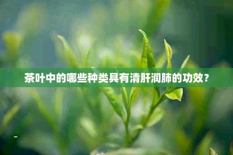 茶叶中的哪些种类具有清肝润肺的功效？