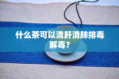 什么茶可以清肝清肺排解？