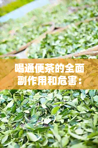 喝通便茶的全面副作用和危害：了解这些，做出明智的选择