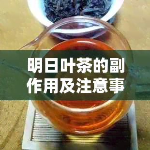 明日叶茶的副作用及注意事项：了解其可能的健益处与风险